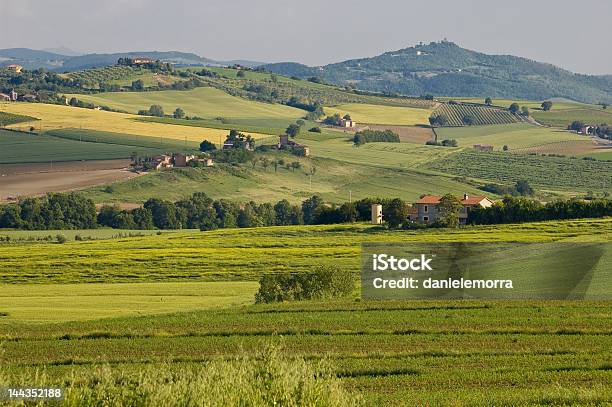 Toscana Colina Verde - Fotografias de stock e mais imagens de Agricultura - Agricultura, Ajardinado, Aldeia