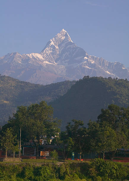 Mt. Machapuchhare stock photo