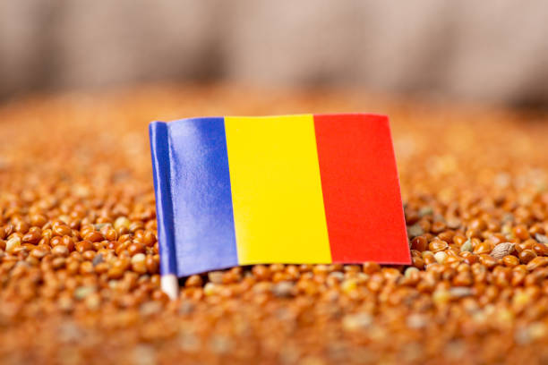 istock Flag of Romania on millet grain 1443524228