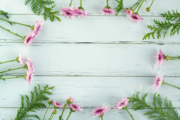 colorful flowers and copy space - bouquet tulip greeting card gerbera daisy imagens e fotografias de stock