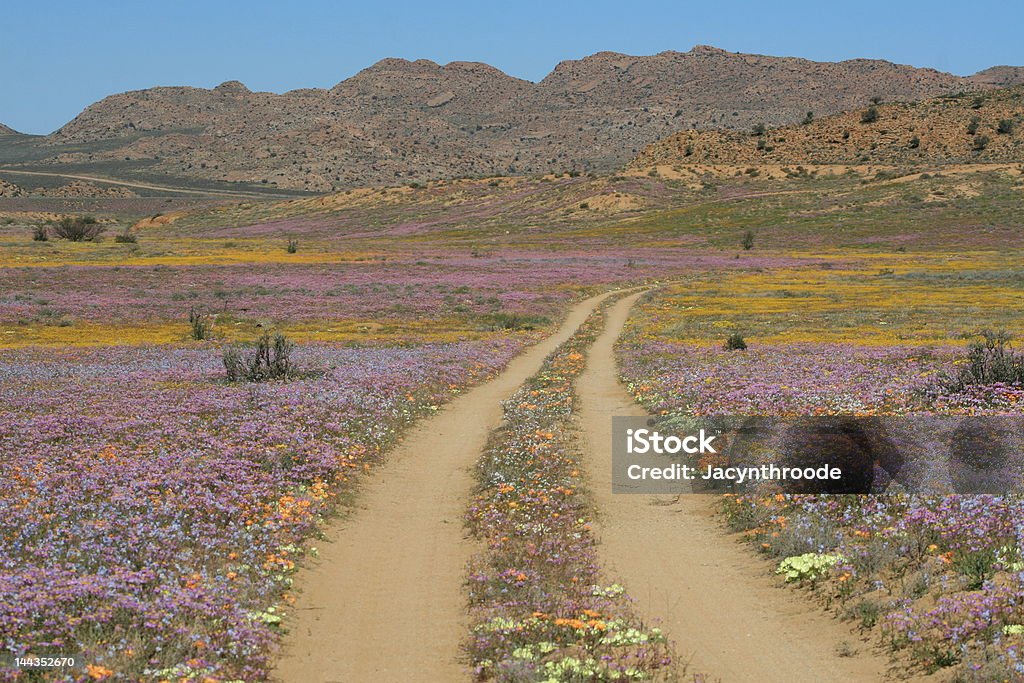 Carretera de campo - Foto de stock de Namaqualand libre de derechos