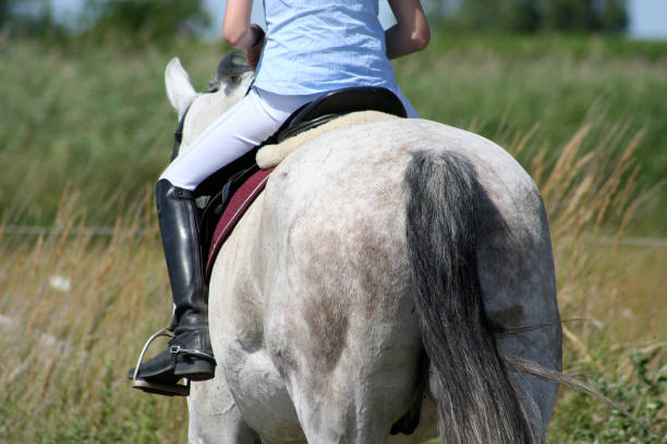 istock Horseback Riding Detailshot light from Backside 144352974