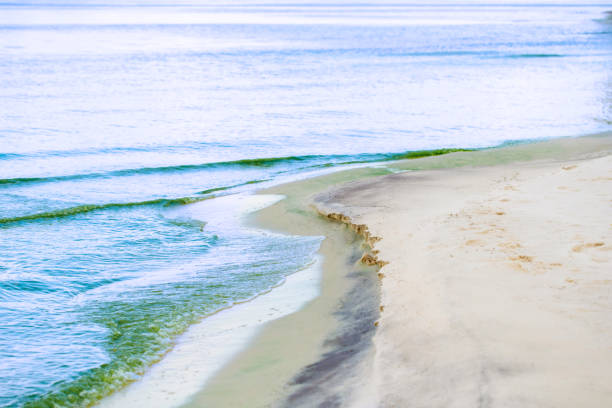 istock sandy shore and water closeup 1443531011