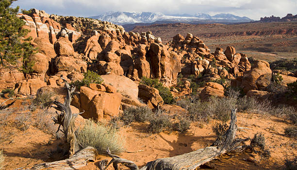 Fiery Furnace in Sunlight