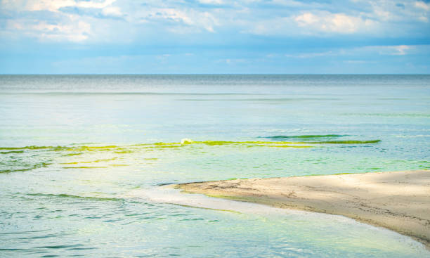 natural background, sandy shore and water closeup