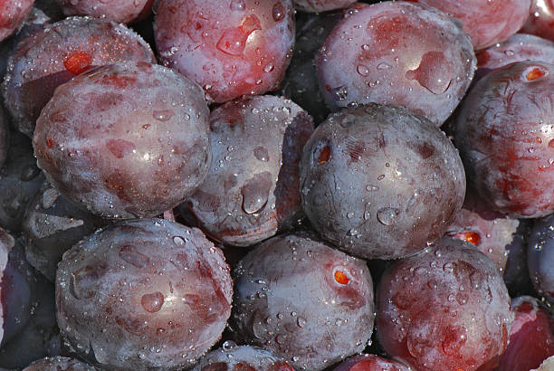 Fresh plums stock photo