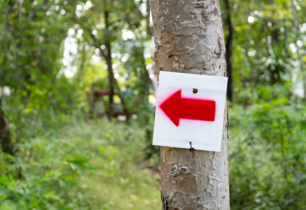 um letreiro vermelho em forma de seta em um fundo branco de futuro, pregado com pregos velhos enferrujados, é anexado a uma árvore para dar instruções aos transeuntes. - backpacker green vacations outdoors - fotografias e filmes do acervo