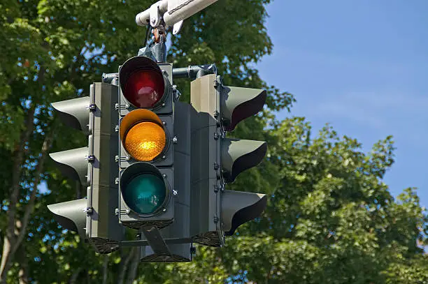 Photo of Traffic light in front of green trees with yellow light lit