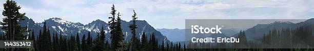 Tatoosh Rząd - zdjęcia stockowe i więcej obrazów Góra Mount Rainier - Góra Mount Rainier, Południe - Kierunek, Seattle
