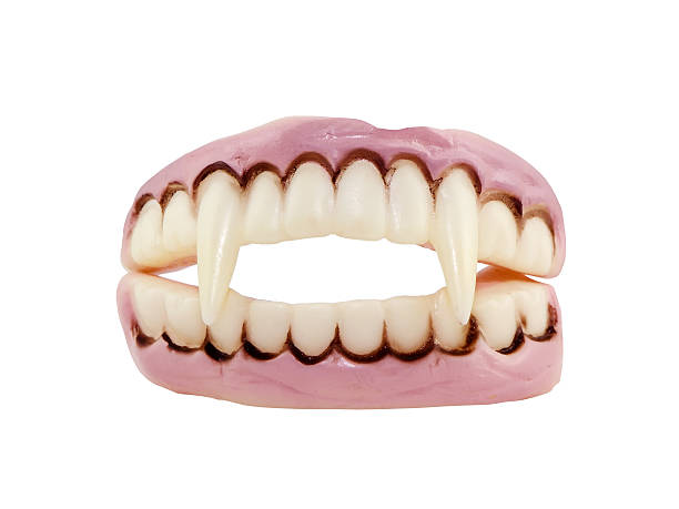 Vampire Teeth stock photo