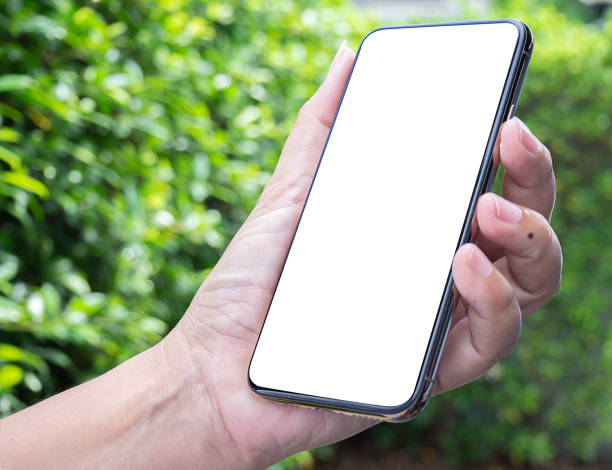 istock Woman hand hold modern white screen smartphone on floral background 1443536598