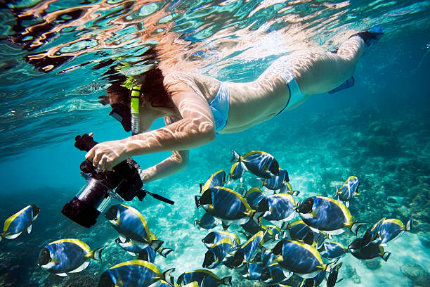 istock Woman snorkeling with camera in tropical sea with blue fish 144353692
