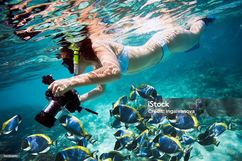 Woman snorkeling with camera in tropical sea with blue fish Underwater Life Camera - Photographic Equipment Stock Photo