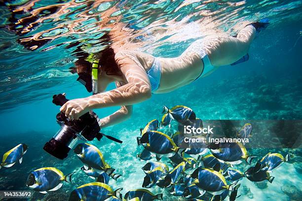 Woman Snorkeling With Camera In Tropical Sea With Blue Fish Stock Photo - Download Image Now