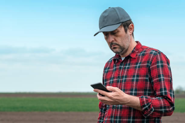 istock Farmer using smart phone app for crops management out in the field 1443539489
