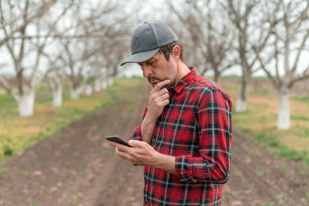 istock Farmer using mobile smart phone app in walnut fruit orchard, smart farming and modern technology 1443539791