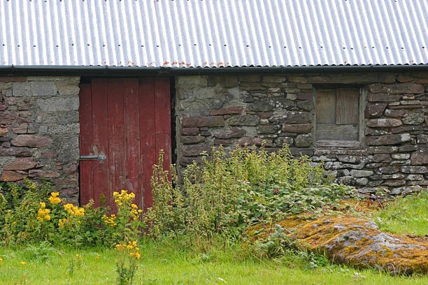 камень коттедж с красной дверью - republic of ireland irish culture cottage door стоковые фото и изображения