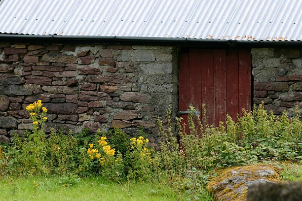 irish cottage con red door 2 - republic of ireland irish culture cottage door foto e immagini stock