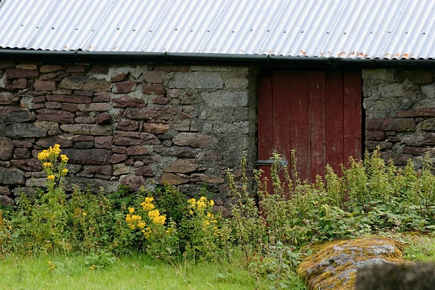 アイルランドのコテージにレッドドア 2 - republic of ireland irish culture cottage door ストックフォトと画像