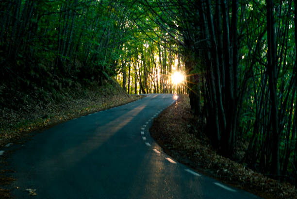 courbe route de montagne en automne avec des arbres forestiers avec un soleil frontal éblouissant dangereux - sun blind photos et images de collection