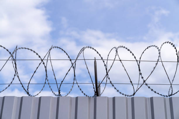istock Security dangerous barricade. Barbed wire and razor wire crossing. 1443542482