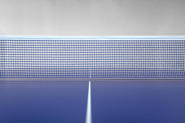 istock Close up of table tennis and billiards net 1443545779