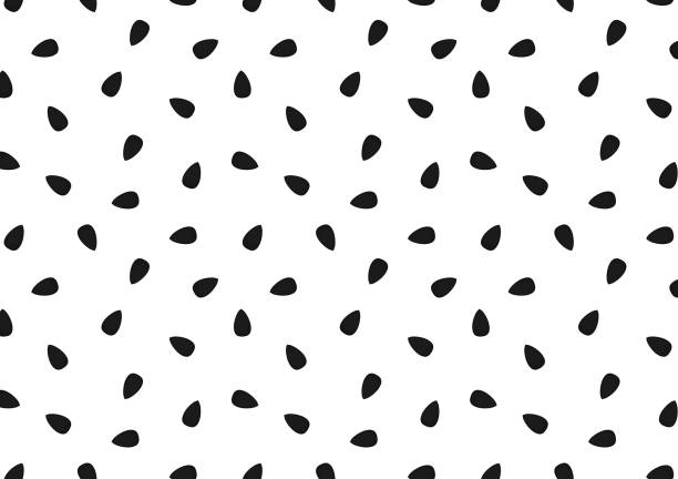 ilustraciones, imágenes clip art, dibujos animados e iconos de stock de papel tapiz de patrón de semillas de sésamo negro. semillas de sésamo negro sobre fondo blanco. - sesame black seed white background