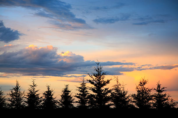 frangivento tramonto - saskatchewan north prairie sunset foto e immagini stock