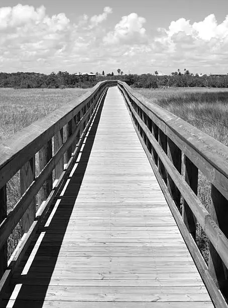 Boardwalk over marsh
