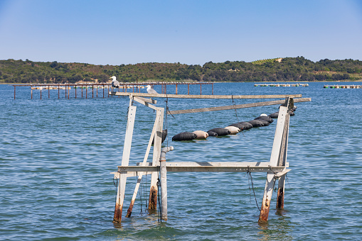 oyster farm at the Étang de Diane, a coastal lagoon beside the Tyrrhenian Sea on the east coast of Haute-Corse department on the French island of Corsica