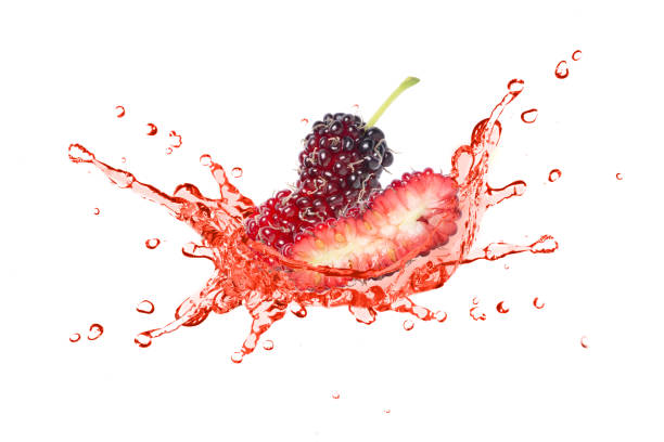 sok z morwy czerwonej - blackberry fruit mulberry isolated zdjęcia i obrazy z banku zdjęć