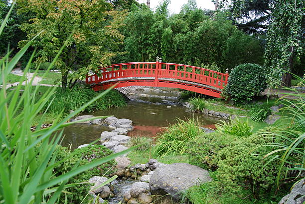일본 정원 - bridge wood japanese garden footbridge 뉴스 사진 이미지