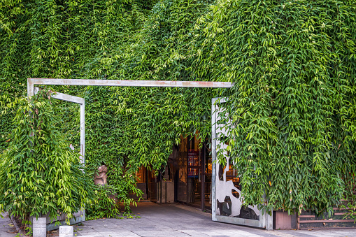 The gate of a building overgrown with ivy