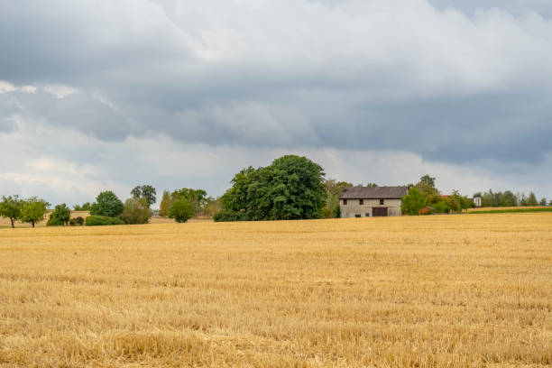istock Stormy farmland scenery 1443557937