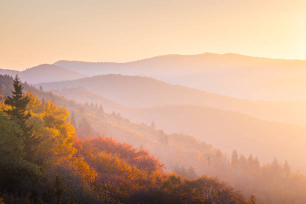 Autumn Morning Glow In Smoky Mountain National Park Located in the Great Smoky Mountain National Park, Oconaluftee Overlook near Newfound Gap between Gatlinburg TN and Cherokee NC. gatlinburg great smoky mountains national park north america tennessee stock pictures, royalty-free photos & images