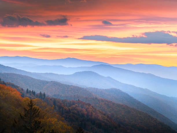Amazing Autumn Sunrise In Smoky Mountain National Park Located in the Great Smoky Mountain National Park, Oconaluftee Overlook near Newfound Gap between Gatlinburg TN and Cherokee NC. gatlinburg stock pictures, royalty-free photos & images