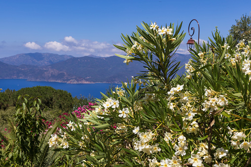 coast of Corsica seen from the village of Piana in Corsica; Piana, France