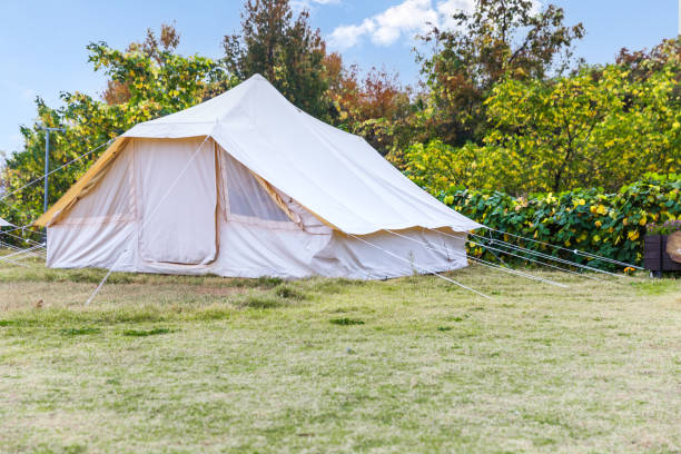 istock Tents Camping area，china 1443560833