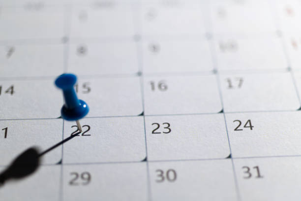 istock Embroidered pins on a calendar 1443561954