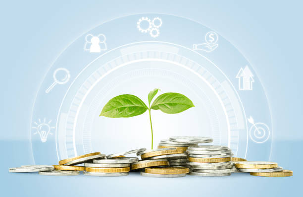 istock a sprout growing from coins and a hologram around 1443561976