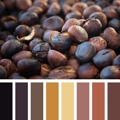 A background of hot roasted chestnuts in a colour palette with complimentary colour swatches.