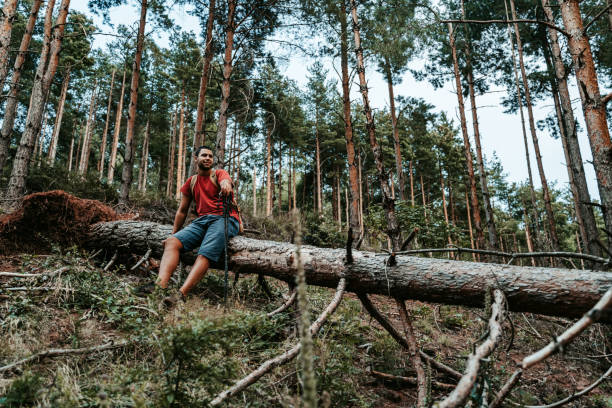 istock Young Man Resting On A Tree After Hiking In The Woods 1443565875