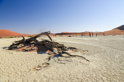 Desert Dune