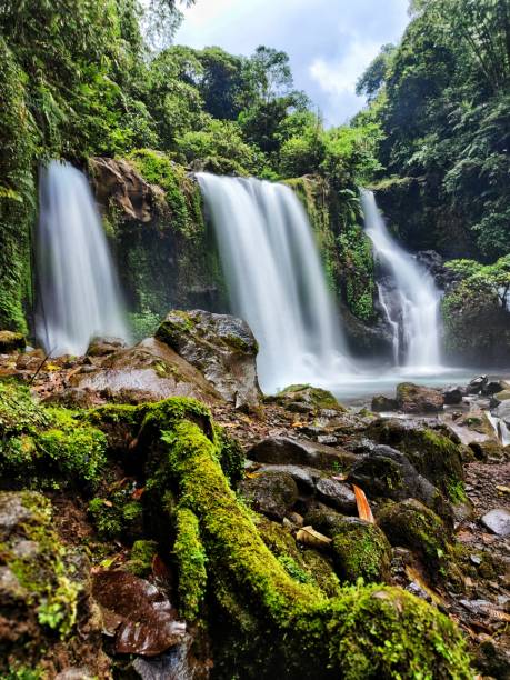 istock Scenic View Of Waterfall In The forest 1443566738