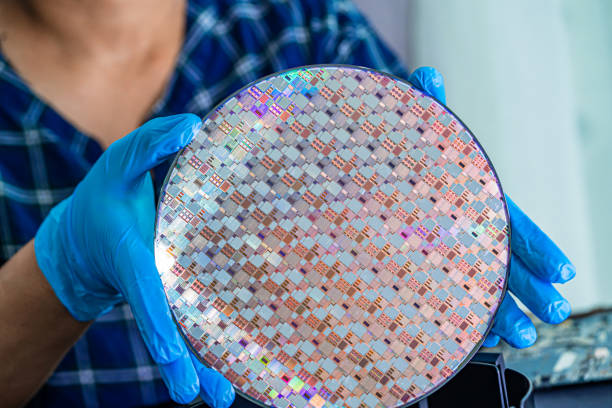 istock Silicon wafer for manufacturing semiconductor of integrated circuit. 1443566907