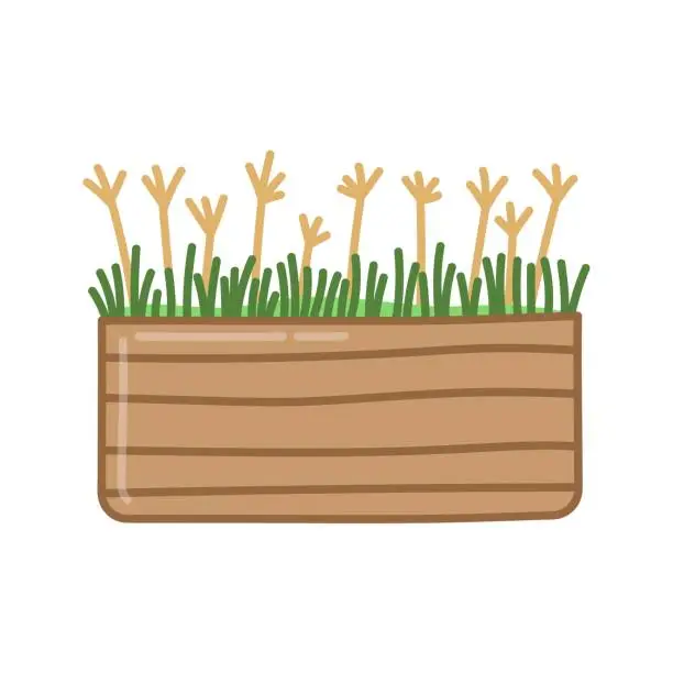 Vector illustration of Wooden box with plants and grass. Hand drawn illustration in cartoon style. Vector isolated on white background.