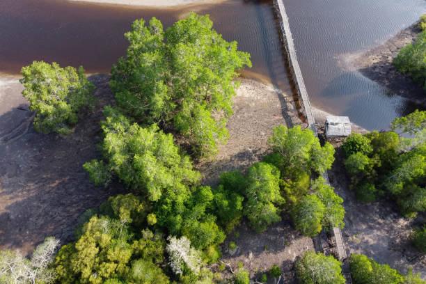 Aerial view of a wooden bridge that stretches along the coast between mangrove forests Aerial view of a wooden bridge that stretches along the coast between mangrove forests karman stock pictures, royalty-free photos & images