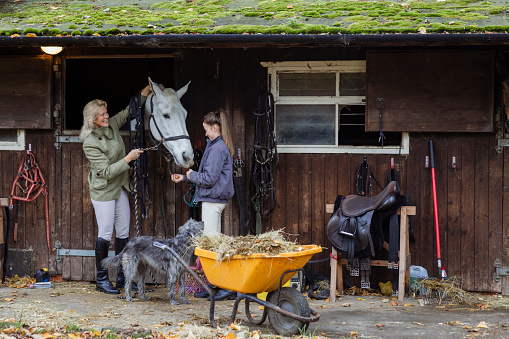 A woman and her daughter standing outdoors at their stable at home in Newcastle Upon Tyne, England. They are petting and feeding their pet horse while they bond with each other.