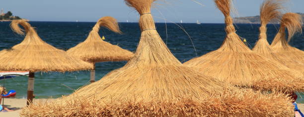 istock straw umbrellas on the beach 1443570872