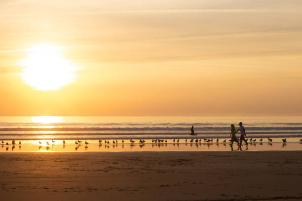 istock Active couple walking on beach at sunset 1443575349